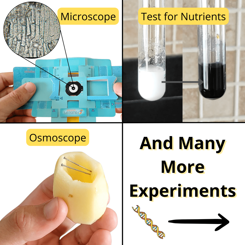 Biology Practicals Kit for Class 9 & 10